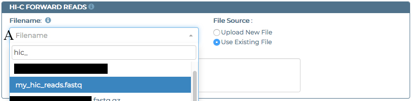 use existing file